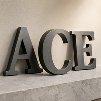 Enseigne lumineuse 3D personnalisée en acier inoxydable et acrylique, étanche IP65, à fixation murale pour centre commercial, hôpital, gare routière