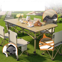 Table longue pliante portable d'extérieur pour cour, installation facile, pique-nique, barbecue, camping, bureau de tourisme, table pliante type « œuf »