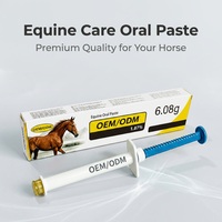 Compléments alimentaires aromatisés à la pomme pour chevaux, suppléments nutritionnels pour animaux de compagnie, pâte nutritionnelle, personnalisables en OEM en gros