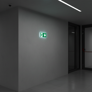 Uscita di emergenza verso il basso segno freccia destra-220 in PVC luminescente * 120 mm - Product Image 3