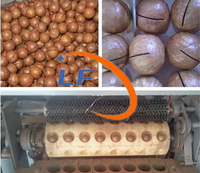 Automatische hoog-efficiënte motor aangedreven macadamia-noten openings- en snijmachine voor noten en fruit