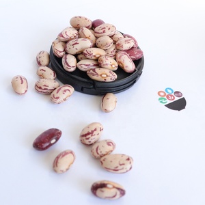 Fagioli <span class=keywords><strong>Rossi</strong></span> Maculati, Fagioli Pinto e Fagioli di Cranberry all'Ingrosso per Alimenti in Scatola - Product Image 4