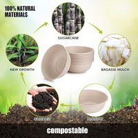 Barquette alimentaire jetable 100 % biodégradable et compostable en bagasse, assiette en papier de canne à sucre, contenants à emporter