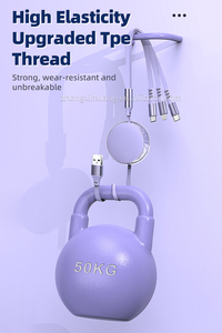 Câble <span class=keywords><strong>de</strong></span> <span class=keywords><strong>données</strong></span> HYTO rétractable 3-en-<span class=keywords><strong>1</strong></span> 120W à charge rapide 5A, câble <span class=keywords><strong>de</strong></span> <span class=keywords><strong>données</strong></span> trois-en-un, cadeau avec logo d'entreprise - Product Image 5