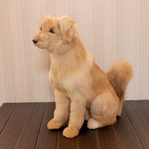 Peluche <span class=keywords><strong>Pomeranian</strong></span> blanche réaliste, cadeau pour enfants et adultes |   Jouet anti-stress d'anniversaire en peluche super douce, non un animal en peluche - Product Image 4