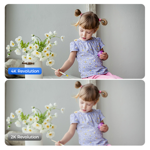 Arpha P160M 4K Tự Động Ngày Đêm Chuyển Đổi Thông Minh Phát Hiện Có Dây Trong Nhà Mạng An Ninh Máy Ảnh Với Thẻ SD Lưu Trữ - Product Image 2