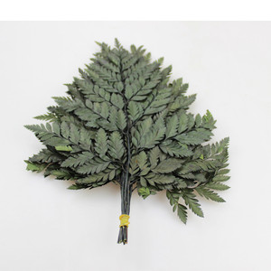 Flores de alta calidad acuerdo materiales decorativos y alpino fern - Product Image 1
