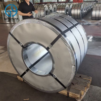 Bobines d'acier PPGI à livraison rapide DX51D Z40, finition régulière, peinture PE, 0,32 mm, 0,35 mm, 0,4 mm, pour toiture
