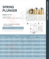 Fabricant chinois de butées à bille cylindriques en laiton de 3 mm, 4 mm, 5 mm pour indexage et ajustement par pression