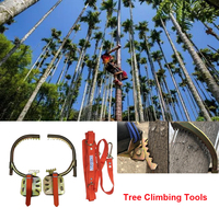 Outil d'escalade d'arbres en acier à prix direct usine, facile à utiliser, pour l'escalade des arbres à noix de bétel et de cocotiers