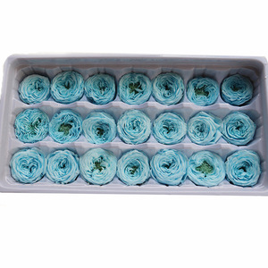 ZanTe Grosir 21 Pcs Box untuk Pembelian Grade AA 2 - 3 Cm Diawetkan Alam Nyata Tahan Lama Keabadian Austin Mawar Bunga - Product Image 4