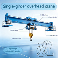 Grue à poutre simple électrique de type LDO de la marque Wanlong (style européen) 3-10 tonnes, moteur 5KW, portée 16,5m, hauteur de levage maximale 20m