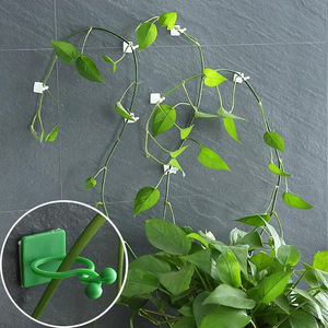 Long San Non Forage Intérieur Escalade Vigne Clip Crochet Traceless Adhésif Support, Vigne et <span class=keywords><strong>Plante</strong></span> Verte Mur Collage Clip - Product Image 1