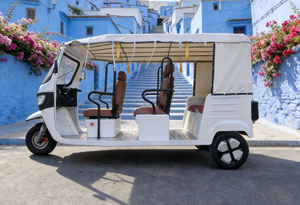 Tricycle Électrique à Trois Roues Neuf pour Passagers, Tuk Tuk à Trois Roues à Prix Avantageux, Véhicule CEE - Ventes Flash - Product Image 4