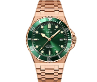 Montre automatique de luxe pour homme, mouvement mécanique domestique, étanche, en acier inoxydable, montre de plongée, personnalisable