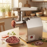 Hachoir à viande entièrement automatique, machine à broyer et à broyer en acier inoxydable, conception modernisée, avec une période de garantie d'un an