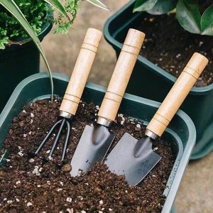 Juego de tres piezas para jardín con mango de madera: pala, rastrillo y paleta para paisajismo y plantación en el hogar. - Product Image 2
