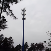 Tour de télécommunication monopode YingHao certifiée ISO de 30 m avec échelle interne et garde-corps de sécurité pour un accès de maintenance sécurisé, durée de vie de 30 à 50 ans