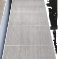 Le plastique de panneau de mur de PVC de largeur du poids léger 60cm profile la série de Tuile-regard imperméable