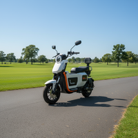 Prix de liquidation, moitié prix, cyclomoteur électrique BLDC haute puissance 1000W, 60V 20Ah, moto de rue pour adultes