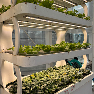 Jardinera Interior Inteligente de 5 Niveles - Capa de Siembra de Alta Capacidad, Luces LED de Cultivo y Sistema de Riego Automático Temporizado - Product Image 5