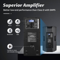 Accuracy Pro Audio CBN15ADD Altavoz Activo de Plástico de 15 Pulgadas con Amplificador de Audio Profesional para Sistema de Sonido