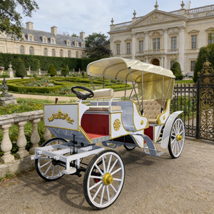 عربة سياحية للنزهات الخارجية بثلاثة صفوف وتسعة مقاعد، عربة خيول كهربائية - Product Image 2