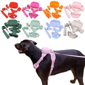 Ensemble laisse et collier pour chien en velours côtelé, ensemble de promenade réglable pour chiot, équipement de promenade durable pour chiens, chiots et petites races - Product Image 1