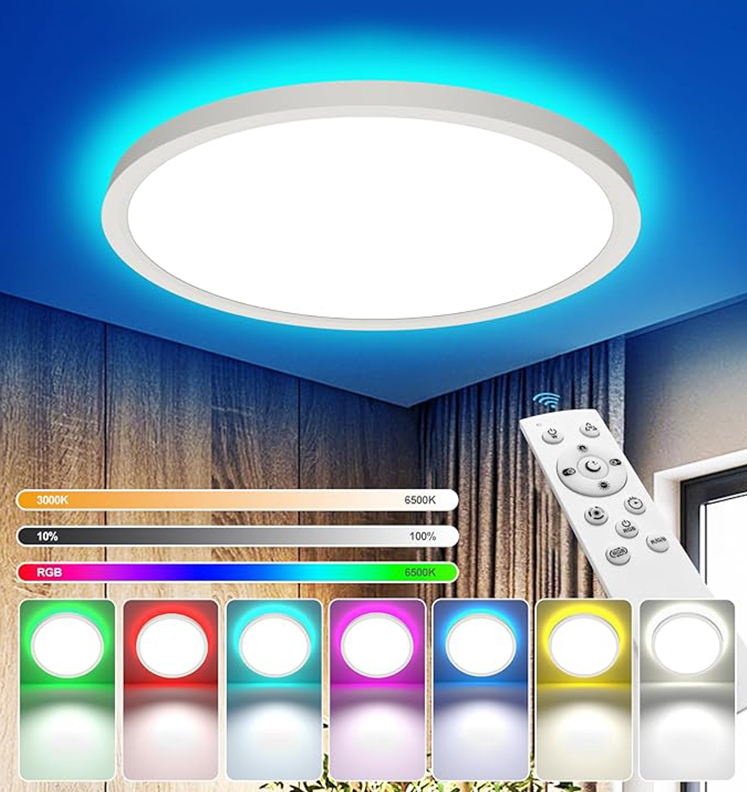 Ultra-Thin 24W RGB LED Smart Remote Control IP44 Waterproof European Style Ceiling Light Stepless Dimming 3000-6500K Color