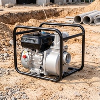 Pompe à eau portable avec corps léger, fonctionnement simple, idéale pour l'irrigation des jardins et l'alimentation en eau en extérieur