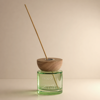 Bouteilles diffuseurs de parfum en verre transparent vert personnalisées en usine, 300 ml, écologiques et durables, formes carrées, couleurs et logos personnalisés disponibles