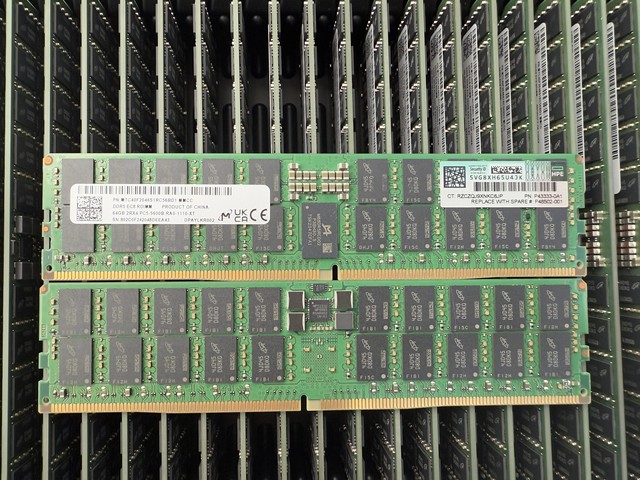 Magnesium 64G 2RX4 PC5 5600B RDIMM Server Memory DDR5 5600 ECC REG