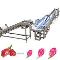 Automatische fruit- en groente- weegsorteermachine, hoogprecisie sorteermachine voor tomaten, aardappelen en avocado's