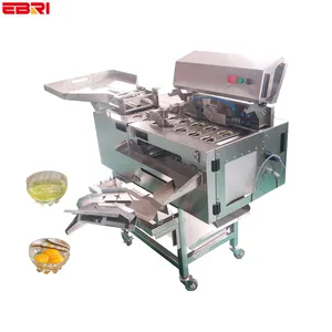2023 Brand New Chain Plate Type Egg Yolk White Separator Automatic Egg White And Egg Yolk Separation Production Line