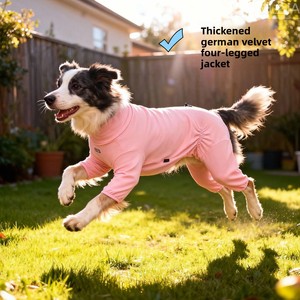 Pyjama d'hiver pour animaux de compagnie, combinaison épaisse à col haut et extensible, vêtements pour chiens à quatre pattes pour grands chiens - Product Image 5