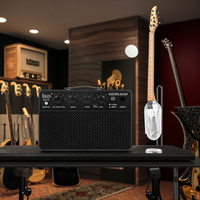 IRIN Portable Bass Amplifier Speaker dengan Kontrol Digital Baterai Isi Ulang Finishing Mengkilap Emas-Penggunaan Luar Ruangan Langsung