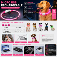Collier LED Lumineux Rose Orange Clair pour Chien, Collier Intelligent Personnalisé pour Animaux de Compagnie par Grand Fabricant, Réfléchissant, en Silicone, Étanche, Motif Uni