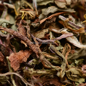 Alta Qualidade Extrato De Ervas De Dandelion Seco Ao Ar Medicina Tradicional Chinesa Venda Quente Ervas Chinesas Folhas De Dandelion - Product Image 5