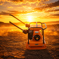 Compacteur de sol portatif durable YMC60 répondant aux normes strictes de contrôle des vibrations et de sécurité