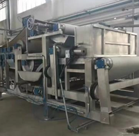 Automatische riemtransporteermachine voor het maken van sap van appel, sinaasappel, watermeloen, mango en ananas.
