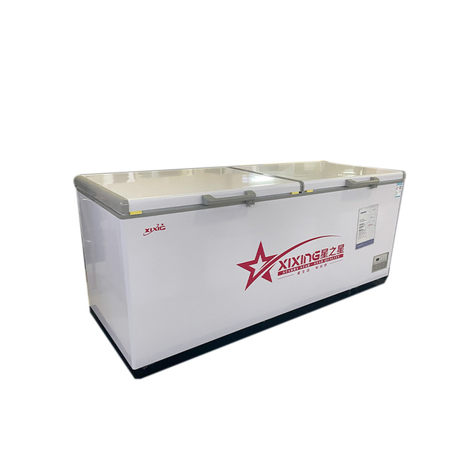 Double-Door Commercial Single-Temperature Deep Freezer for Supermarket