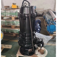 Pompes submersibles électriques de diverses spécifications, puissance de 5,5 kW pour le traitement des eaux usées, pompes de puits à prix compétitifs