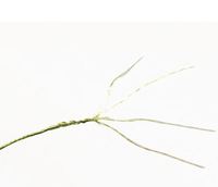 4 Supports 100m 300m 500m Emballage PE Matériau japonais solide Matériel de pêche Pêche JOF Ligne tressée en polyéthylène