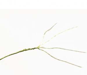 4 soportes 100M 300m 500m Embalaje PE Material japonés fuerte Aparejos de pesca Pesca <span class=keywords><strong>JOF</strong></span> Línea <span class=keywords><strong>trenzada</strong></span> de polietileno - Product Image 6