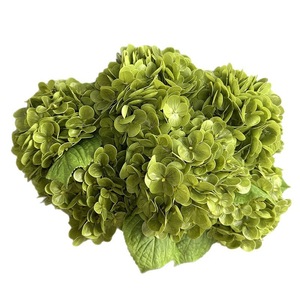 Meilleures ventes de fleurs artificielles, hydrangea en soie à tête unique, vert foncé, pour mariage - Product Image 3