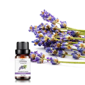 pure natural colagne perfume oil wholesale aromatherapy body massage lavender oil essential for good sleep