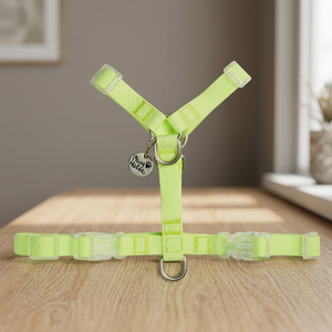Harnais pour chien en forme de Y, personnalisé, imperméable, de luxe, vert, style simple et tendance, avec des caractéristiques respirantes et réfléchissantes - Product Image 3