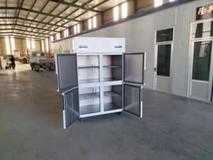 Congélateur vertical à air pulsé pour saumon surgelé, -45°C, pour hôtels et entrepôts frigorifiques, à vendre - Product Image 1