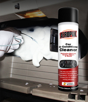 Kit de nettoyage de voiture de conduit sans démontage Agent de nettoyage de climatiseur Stérilisation de l'évent intérieur Désodorisant Spray Cleaner Wash