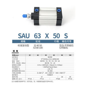 SAU32/40/50/63/80/100-50*75X125 200 300 450S - Product Image 2